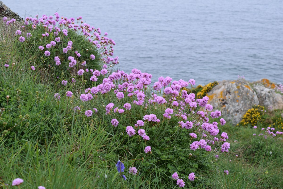 Saint Malo 7 mai&nbsp;2023